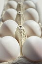 Dozen white eggs in a cardboard box, close up