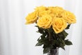 Dozen Yellow with Small Pink Streaks Roses Bouquet