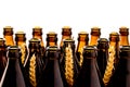 Dozens of empty, brown German beer bottles Royalty Free Stock Photo