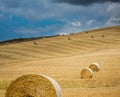 Dozens of hay bales on fields in Tuscan with cloudy sky