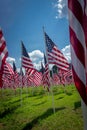 Dozens of national flags of the United States of America wave in the wind. Royalty Free Stock Photo