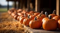 Display of orange ripe fall and Halloween pumpkins and hay decorating the country barn scene - generative AI