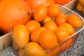 Dozens of oranges piled up in a heap