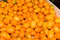Dozens of oranges piled up in a heap