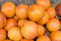 Dozens of oranges piled up in a heap