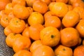 Dozens of oranges piled up in a heap