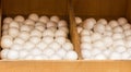 Dozens of styrofoam balls