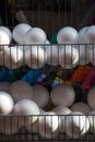 Dozens of styrofoam balls