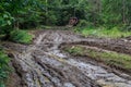 Old dozer on the dirty road in forest mountains