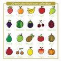 20 set fruit icon collection Royalty Free Stock Photo