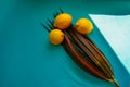 Dracaena flower and lemons on a blue background and a ray of sun