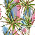 Dracaena marginata tricolor. Watercolor background illustration set. Seamless background pattern.