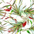 Dracaena marginata tricolor. Watercolor background illustration set. Seamless background pattern.