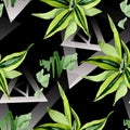 Dracena green leaves. Leaf plant botanical floral foliage. Watercolor illustration set. Seamless background pattern.
