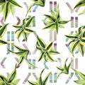 Dracena green leaves. Leaf plant botanical floral foliage. Watercolor illustration set. Seamless background pattern.