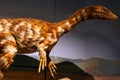 Dracoraptor is a genus of coelophysoid dinosaur Royalty Free Stock Photo