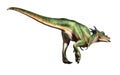 Dracorex No Background