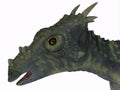 Dracorex Dinosaur Head