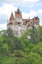 Dracula's Bran Castle portrait view Royalty Free Stock Photo