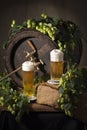 Draft beer with hops Royalty Free Stock Photo