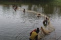 Drag net fishing in asia fishing in pond water