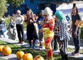 Drag Queens D\'Arcy Drollinger and Bebe Sweetbriar judging for pumpkin contest in San Francisco, CA
