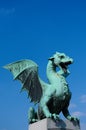 Dragon Royalty Free Stock Photo