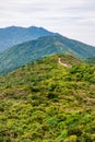 Dragon back trail in Hong Kong