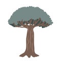 Dragon blood tree on a white background, vector isolated illustration.