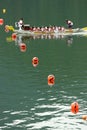 Dragon Boat Race