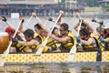 Dragon Boat Race Paddlers Royalty Free Stock Photo