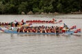 Dragon Boat Race on the Potomac Royalty Free Stock Photo