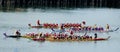 Dragon Boat Races at Victoria, British Columbia Royalty Free Stock Photo