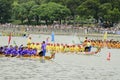 Dragon Boat Racing in Hong Kong 2013