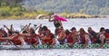 Dragon boat two teams pink sweep Royalty Free Stock Photo