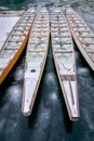Dragon Boats Frozen in Ice Royalty Free Stock Photo
