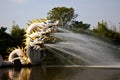 Dragon breathing water Royalty Free Stock Photo