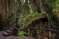Dragon Bridge in Sacred Monkey Forest Sanctuary, Ubud, Bali Royalty Free Stock Photo
