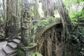 Dragon Bridge in Sacred Monkey Forest Sanctuary, Ubud, Bali Royalty Free Stock Photo