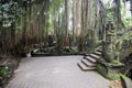 Dragon Bridge in Sacred Monkey Forest Sanctuary, Ubud, Bali Royalty Free Stock Photo