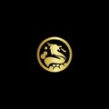 Dragon Buble Logo