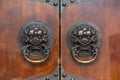 Dragon chinese door knocker on a brown wooden gate Royalty Free Stock Photo