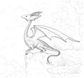 Dragon coloring page. Dragon contour for coloring book.