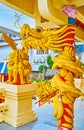 The golden dragon in Sam Sae Chu Hut Chinese Shrine, Phuket City, Thailand Royalty Free Stock Photo