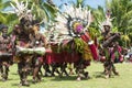 Impressive Dragon Dance Ceremony, New Guinea