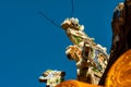 Dragon decor on pavilion in garden of Citadel in Hue. Vietnam.