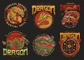 Dragon fight club set flyer Royalty Free Stock Photo