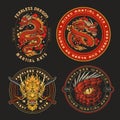 Dragon fight club set sticker Royalty Free Stock Photo