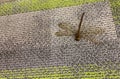 A dragon fly on a carpet Royalty Free Stock Photo