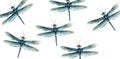 Dragon fly pattern Vector watercolor. Spring summer texture designs